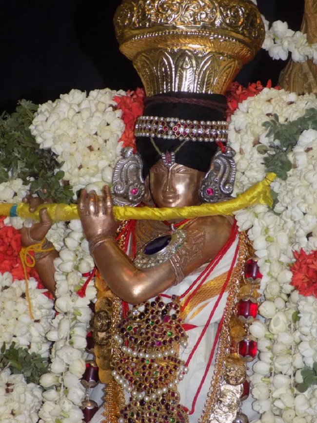 Nanganallur Sri Lakshmi Narasimhar Navaneetha Krishnan Temple Manmadha Varusha Thiruvadipooram Utsavam4