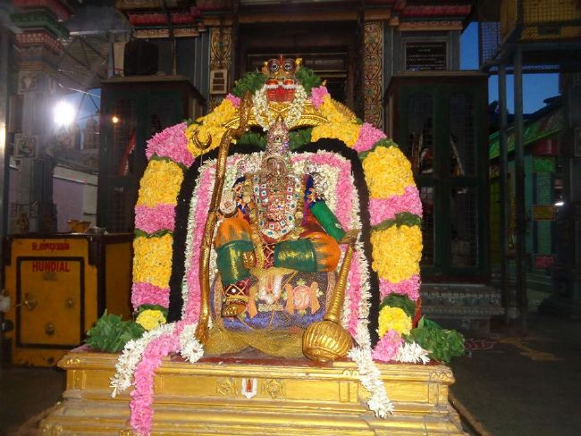 Nungambakkam Sri Prasanna Venkatesa Perumal Temple Brahmotsavam day 1 to 3 -2015 12