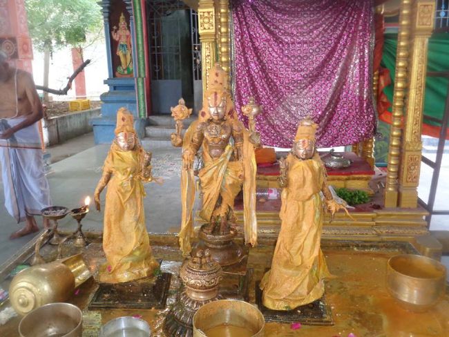 Nungambakkam Sri Prasanna Venkatesa Perumal Temple Brahmotsavam day 1 to 3 -2015 13