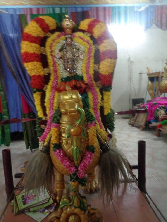 Nungambakkam Sri Prasanna Venkatesa Perumal Temple Brahmotsavam day 1 to 3 -2015 20