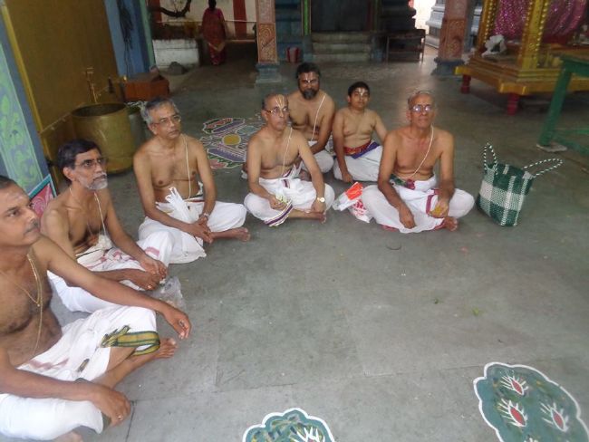 Nungambakkam Sri Prasanna Venkatesa Perumal Temple day 5  -2015 05