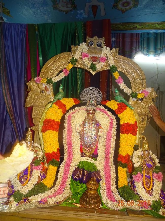 Nungambakkam Sri Prasanna Venkatesa Perumal Temple day 6  -2015 02