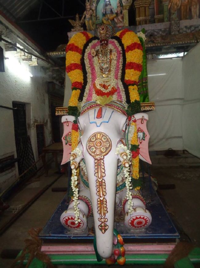 Nungambakkam Sri Prasanna Venkatesa Perumal Temple day 6  -2015 08