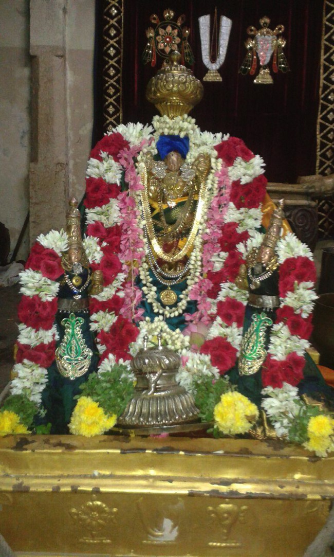 PV Kalathur Sri Lakshmi Narasimhaswami Sannadhi Thiruvadipooram utsavam -2015-04