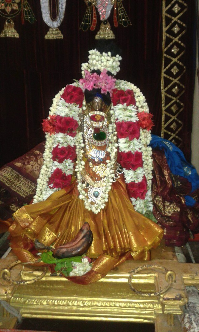 PV Kalathur Sri Lakshmi Narasimhaswami Sannadhi Thiruvadipooram utsavam -2015-05