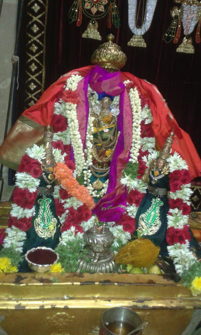 PV Kalathur Sri Lakshmi Narasimhaswami Sannadhi Thiruvadipooram utsavam -2015-09
