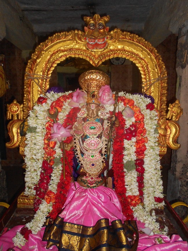 Perumudivakkam Sri Kothandaramar Sannadhi Aadi Punarvasu Purappadu -2015-02