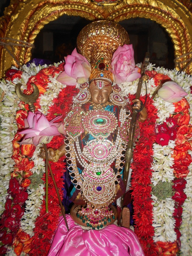 Perumudivakkam Sri Kothandaramar Sannadhi Aadi Punarvasu Purappadu -2015-05
