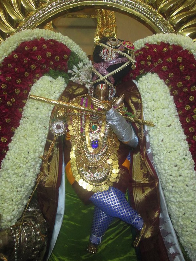 Pondicherry Brahmotsavam_03