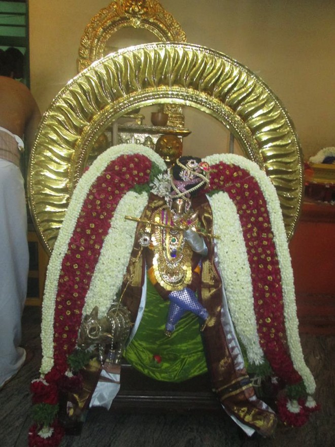 Pondicherry Brahmotsavam_19