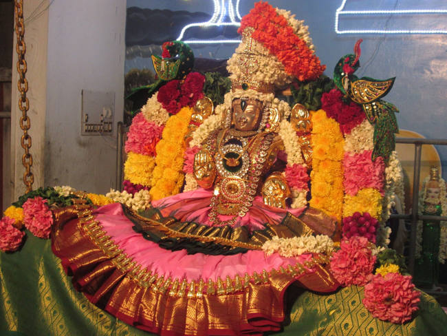 Pondicherry Sri Alarmelmangai Thayar 11