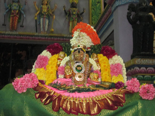 Pondicherry Sri Alarmelmangai Thayar 14
