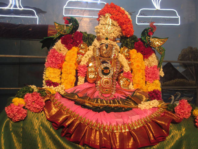 Pondicherry Sri Alarmelmangai Thayar 16