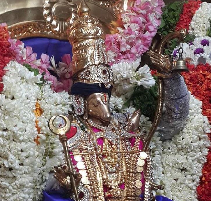 Pondicherry Sri Hayagreeva perumal temple brahmotsavam 2015-1