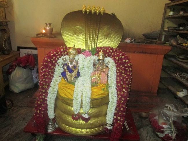 Pondicherry Sri Lakshmi Hayagreeva Perumal Temple Brahmotsavam day 3 -2015 08