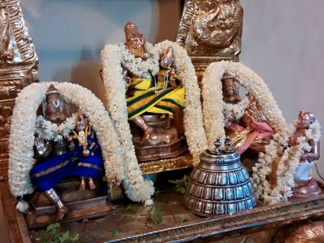 Pondicherry Sri Lakshmi Hayagreeva Perumal Temple Brahmotsavam day 3 -2015 10