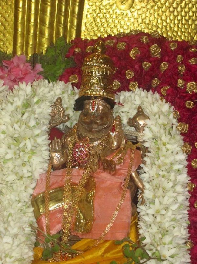 Pondicherry Sri Lakshmi Hayagreeva Perumal Temple Brahmotsavam day 3 -2015 12