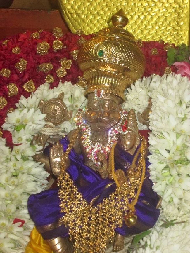 Pondicherry Sri Lakshmi Hayagreeva Perumal Temple Brahmotsavam day 3 -2015 13