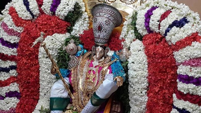 Pondicherry Sri Lakshmi Hayagreeva Perumal Temple Brahmotsavam day 4 -2015 02