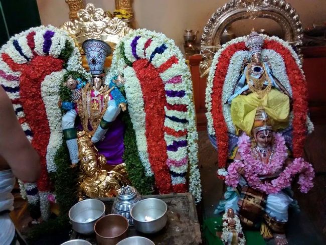 Pondicherry Sri Lakshmi Hayagreeva Perumal Temple Brahmotsavam day 4 -2015 05