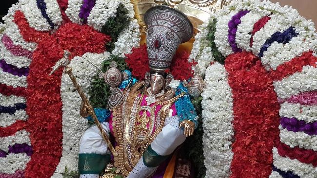 Pondicherry Sri Lakshmi Hayagreeva Perumal Temple Brahmotsavam day 4 -2015 06