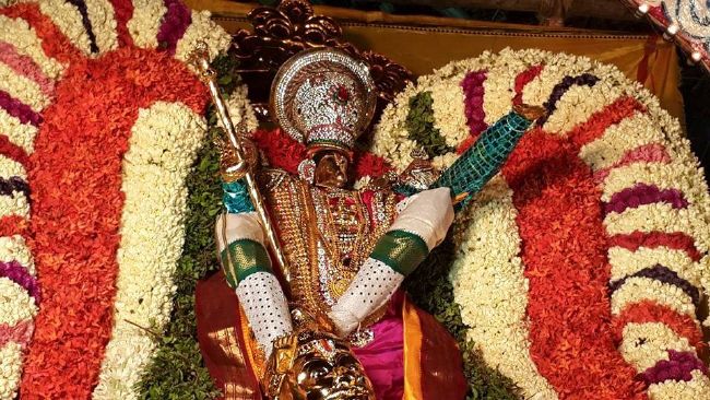 Pondicherry Sri Lakshmi Hayagreeva Perumal Temple Brahmotsavam day 4 -2015 07