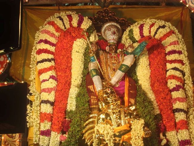 Pondicherry Sri Lakshmi Hayagreeva Perumal Temple Brahmotsavam day 4 -2015 08