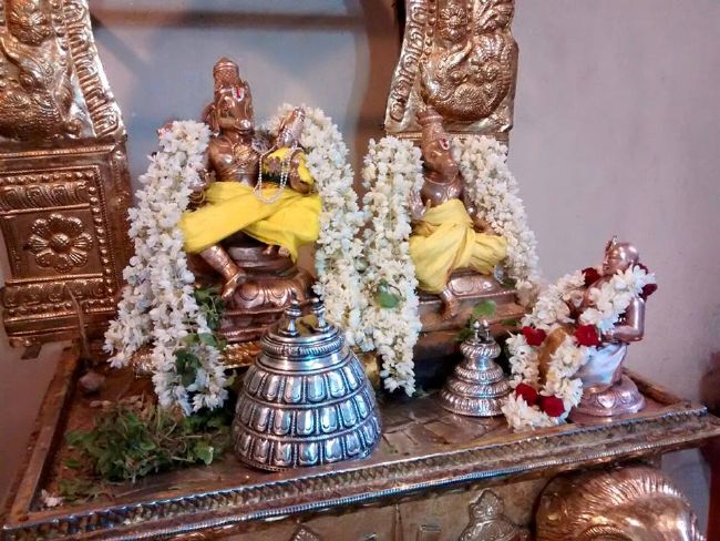Pondicherry Sri Lakshmi Hayagreeva Perumal Temple Brahmotsavam day 4 -2015 12