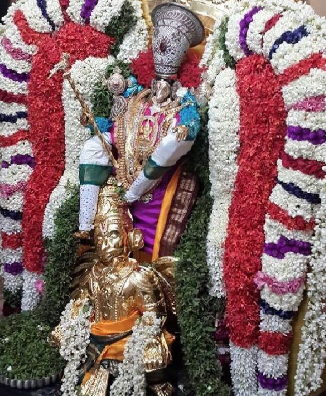 Pondicherry Sri Lakshmi Hayagreeva Perumal Temple Brahmotsavam day 4 -2015 13