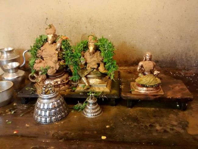 Pondicherry Sri Lakshmi Hayagreeva Perumal Temple Brahmotsavam day 4 -2015 14