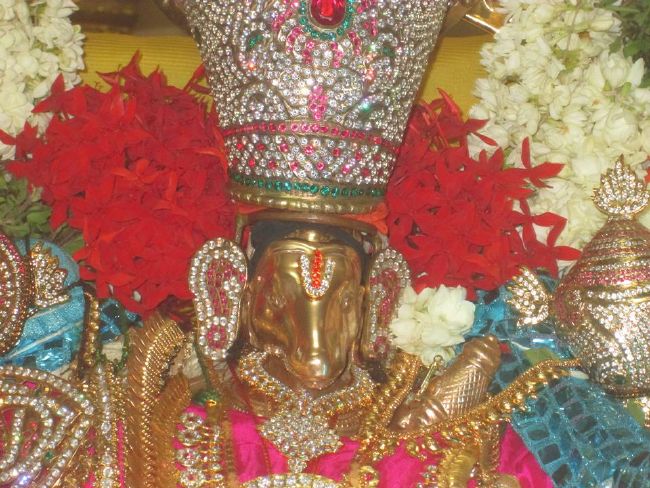 Pondicherry Sri Lakshmi Hayagreeva Perumal Temple Brahmotsavam day 4 -2015 15