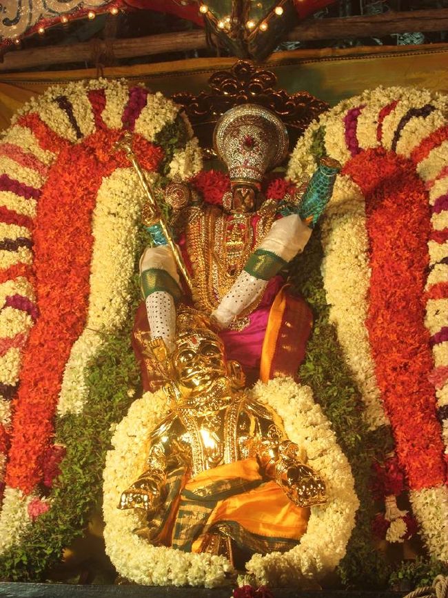 Pondicherry Sri Lakshmi Hayagreeva Perumal Temple Brahmotsavam day 4 -2015 16