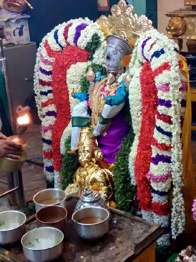Pondicherry Sri Lakshmi Hayagreeva Perumal Temple Brahmotsavam day 4 -2015 18