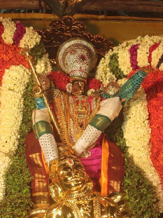 Pondicherry Sri Lakshmi Hayagreeva Perumal Temple Brahmotsavam day 4 -2015 20