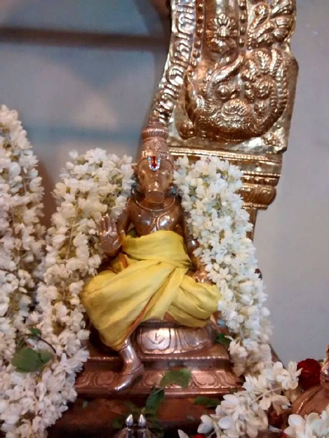 Pondicherry Sri Lakshmi Hayagreeva Perumal Temple Brahmotsavam day 4 -2015 21