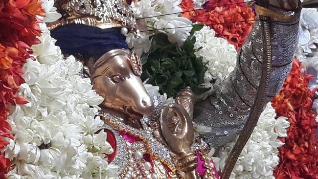 Pondicherry Sri Lakshmi Hayagreeva Perumal Temple Brahmotsavam day 5  -2015 12