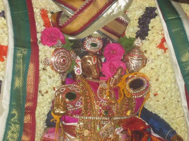 Pondicherry Sri Lakshmi Hayagreeva Perumal Temple Brahmotsavam day 6 -2015 03