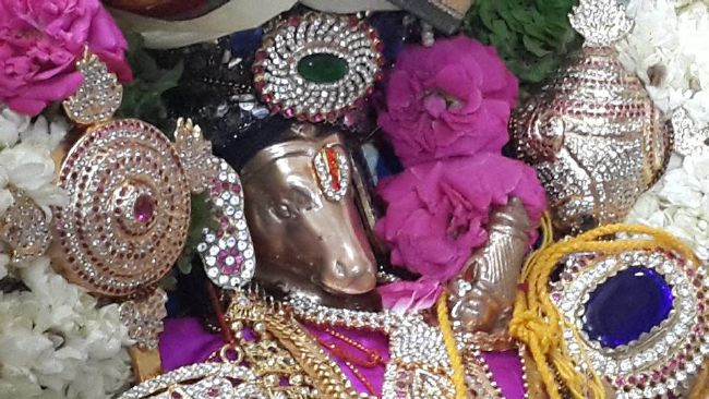 Pondicherry Sri Lakshmi Hayagreeva Perumal Temple Brahmotsavam day 6 -2015 05
