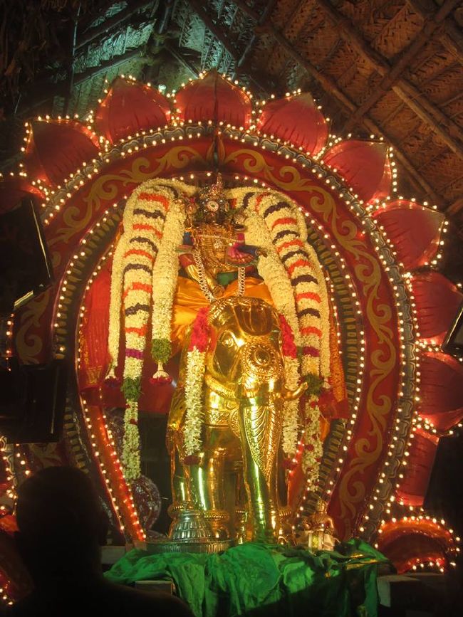 Pondicherry Sri Lakshmi Hayagreeva Perumal Temple Brahmotsavam day 6 -2015 08