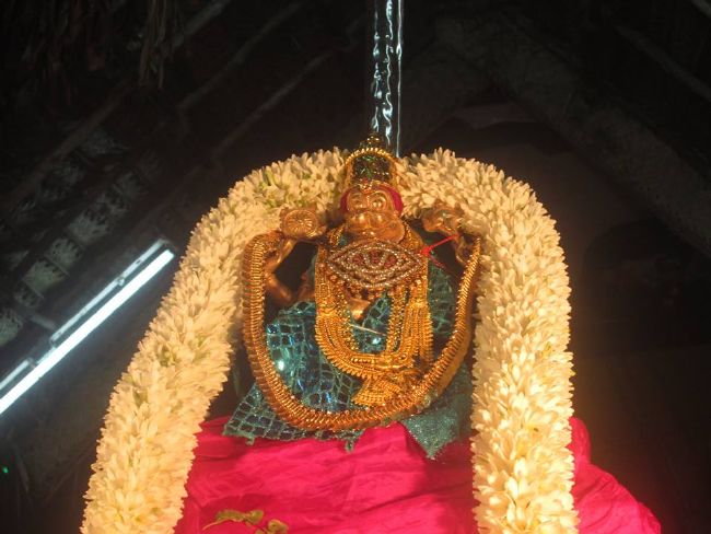 Pondicherry Sri Lakshmi Hayagreeva Perumal Temple Brahmotsavam day 6 -2015 11