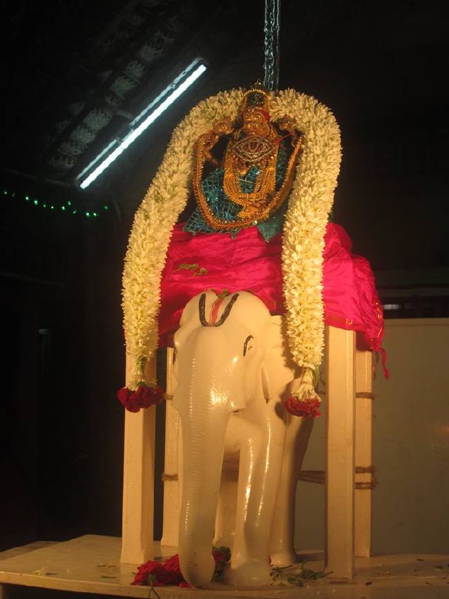 Pondicherry Sri Lakshmi Hayagreeva Perumal Temple Brahmotsavam day 6 -2015 12