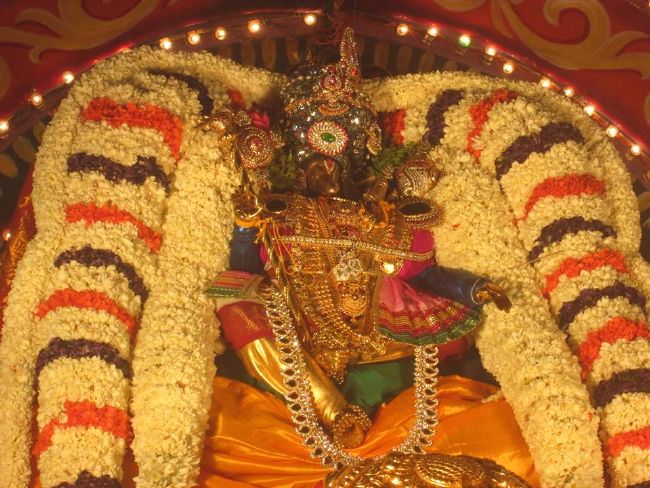 Pondicherry Sri Lakshmi Hayagreeva Perumal Temple Brahmotsavam day 6 -2015 13
