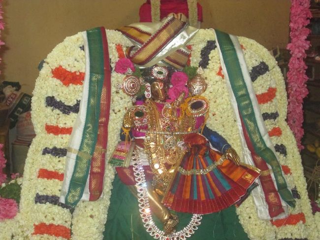 Pondicherry Sri Lakshmi Hayagreeva Perumal Temple Brahmotsavam day 6 -2015 15