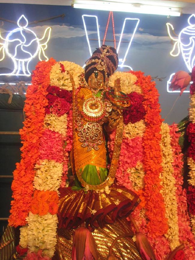 Pondicherry Sri Srinivasa Perumal Temple Thiruvadipooram Utsavam -2015 07