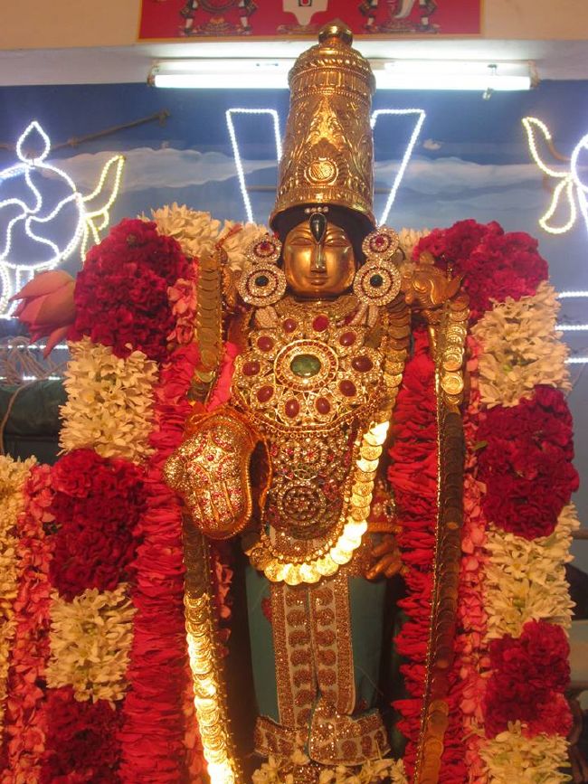 Pondicherry Sri Srinivasa Perumal Temple Thiruvadipooram Utsavam -2015 09