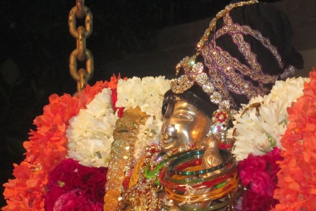 Pondicherry Sri Srinivasa Perumal Temple Thiruvadipooram Utsavam -2015 12