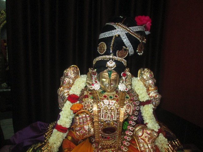 Pondicherry Sri Srinivasa Perumal Temple aadi velli thayar purappadu-2015-02