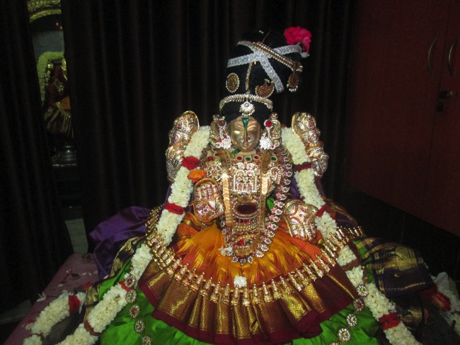 Pondicherry Sri Srinivasa Perumal Temple aadi velli thayar purappadu-2015-03