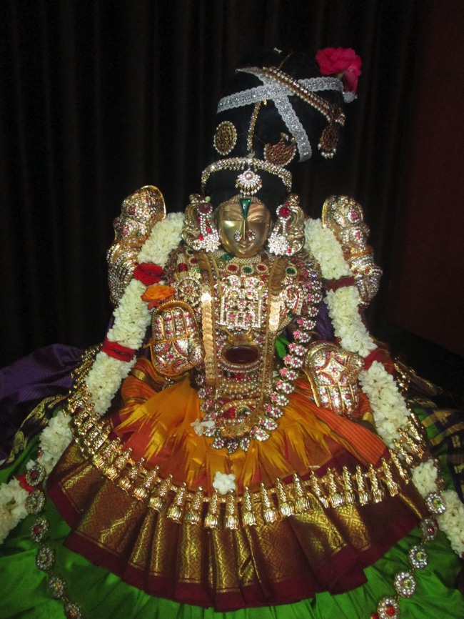 Pondicherry Sri Srinivasa Perumal Temple aadi velli thayar purappadu-2015-04