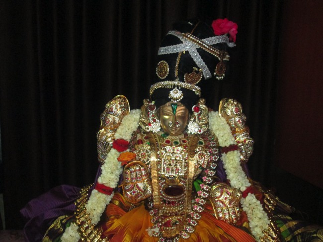Pondicherry Sri Srinivasa Perumal Temple aadi velli thayar purappadu-2015-06